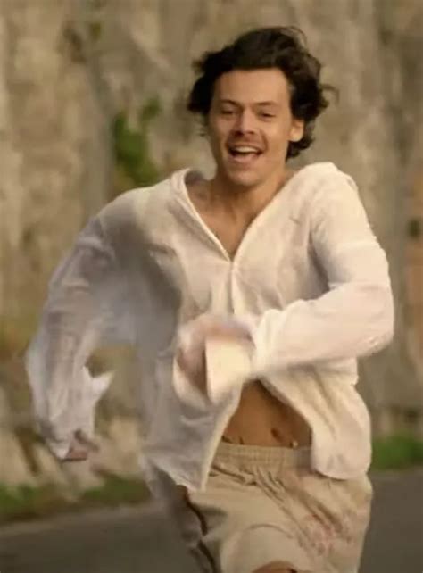 harry styles dick pic|Harry Styles fans notice bulge as he strips off in new music video